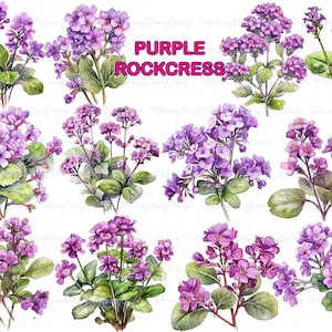 Clipart de berro morado PNG transparente, borde de flor morada PNG, elementos florales para decoupage, fondo de flores violetas transparente para diario