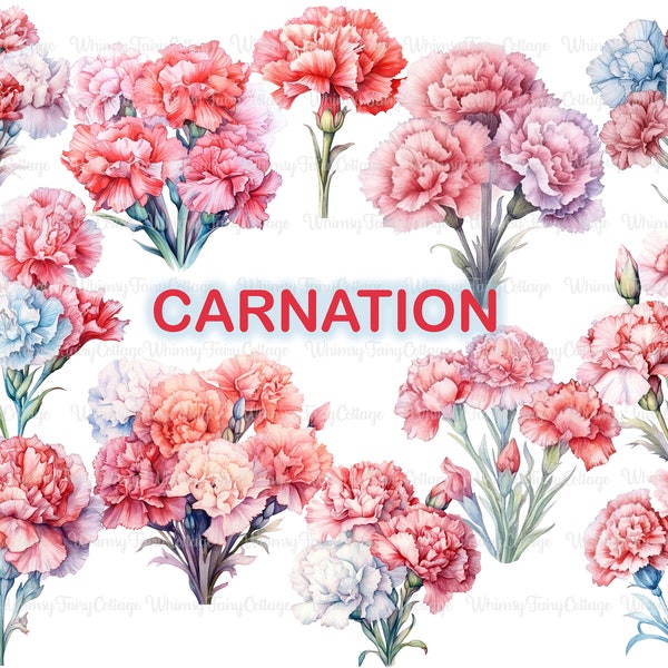 Carnation PNG Clipart, Pastel Pink Carnation Clip Art Cardmaking Flowers Scrapbooking Garden Junk Journaling Pink Stationery Flower Border