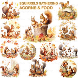 Squirrels Clipart PNG Transparent, Squirrels Gathering Acorns and Food PNG, Woodland Animals PNG, Autumn Animals png, Squirrel Fall Decor