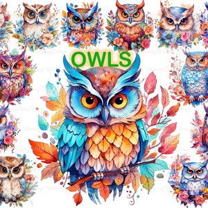 Grillige Baby Owl Clipart, Kwekerij Uilen PNG Cardmaking Elements Afdrukbare Wall Art Scrapbooking Achtergrond Junk Journaling Briefpapier