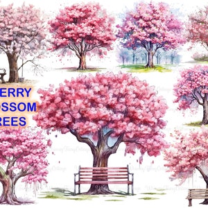 Árvores de flor de cerejeira Clipart PNG Transparente, Árvore de flor e banco PNG, Árvores cor de rosa Clip Art, Fundo de árvore de scrapbooking, Natureza PNG