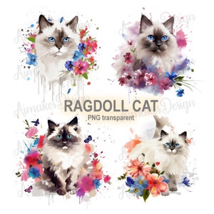 Ragdoll Cat Clipart PNG Trasparente, Gatti Acquerello Digitale Clip Art, Scrapbooking Gatto Floreale, Elementi Pet Junk Journaling, Gatti Bianchi PNG