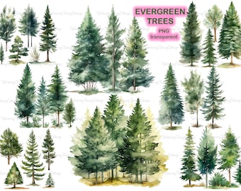 Evergreen Tree PNG Transparent Clipart, Pine Trees PNG Spruce Tree, Green Arborvitae Trees, Cardmaking Winter Christmas Tree, Landscape Tree