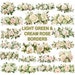 20 PNG Rose Border Clipart, Light Green and Cream Colors Rose Banner ...