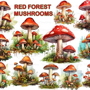 Forêt rouge champignons Clipart PNG Transparent, fantastique champignons magiques PNG, champignons vénéneux rouges PNG, fabrication de cartes Woodland Elements Journaling