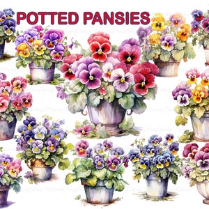 Potted Pansy Clipart PNG Transparent, Pansies in a Pot Digital Clip Art, Pansy Flowers PNG, Spring Garden Elements, Potted Flower Plants PNG