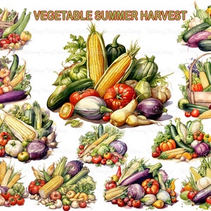 Vegetable Summer Harvest Clipart, Garden Vegetables PNG Cardmaking Journaling Borders Scrapbooking Background Food and Plants Craft Elements