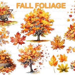 Clipart trasparente di fogliame autunnale in formato PNG, Clipart di fogliame autunnale in formato PNG, Bordi di foglie autunnali, Bordi di diario autunnale, Clipart di foglie di acero in formato PNG