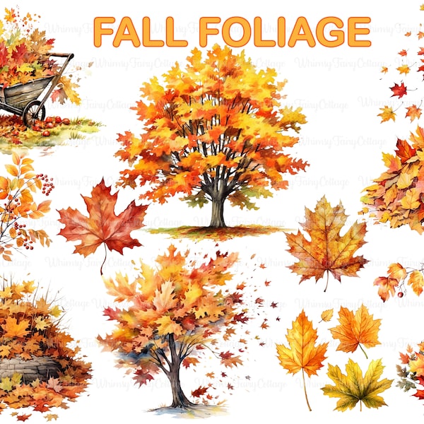 Fall Foliage Clipart, 12 Autumn Foliage PNG Clipart, Autumn Leaves Borders, Fall Journal Elements, Maple Trees and Leaves PNG Clipart