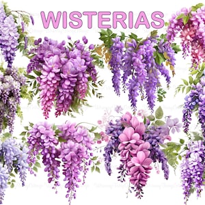 Glyzinien Clipart PNG transparent, lila rosa und blauen Glyzinien, Sublimationsblumen, Scrapbook Blumenrändern, Journaling Ränder PNG