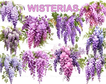 Wisteria Clipart PNG Transparent, Purple Pink and Blue Wisterias, Sublimation Flowers, Scrapbook Flower Borders, Journaling Borders PNG