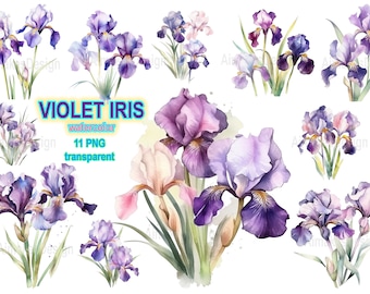 Blue Violet Iris Clipart PNG Transparent, Purple Pink Iris Flowers PNG, Floral Border PNG, Spring Flowers Clipart, Flower Digital Background