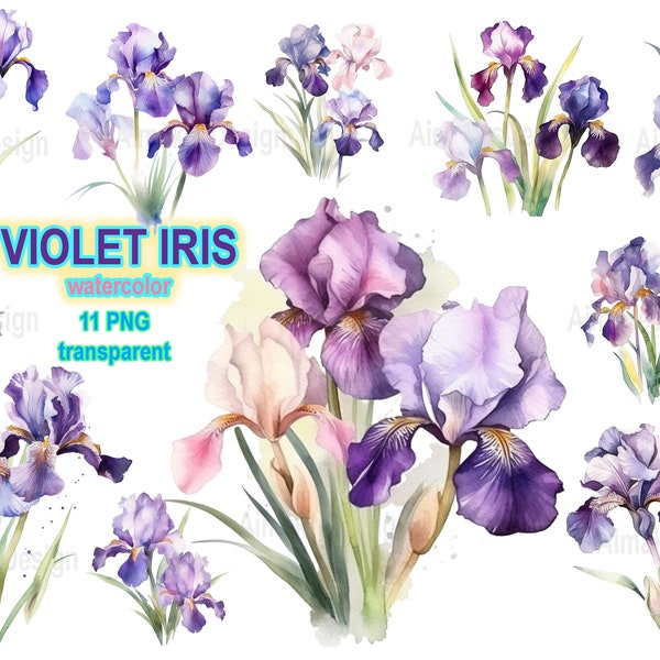 Blue Violet Iris Clipart PNG Transparent, Purple Pink Iris Flowers Digital Clip Art, Watercolor Floral Border PNG, Spring Flowers Clipart