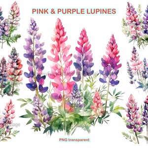 Lupine Clipart PNG Transparent, Spring Flowers Digital Clip Art, Flower Banner Border PNG, Pink and Purple Flowers PNG Scrapbook Background