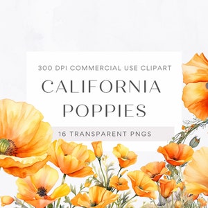Bouquet de coquelicots aquarelle & Couronne Clipart - 16 PNG, fond Transparent, fleur clipart, aquarelle Bundle, téléchargement immédiat, utilisation commerciale