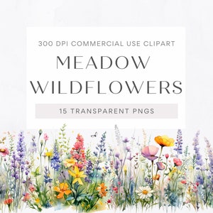 Watercolor Meadow Wildflowers Clipart - 15 PNG, Transparent Background, Flower clipart, Watercolor Bundle, Instant download, Commercial use
