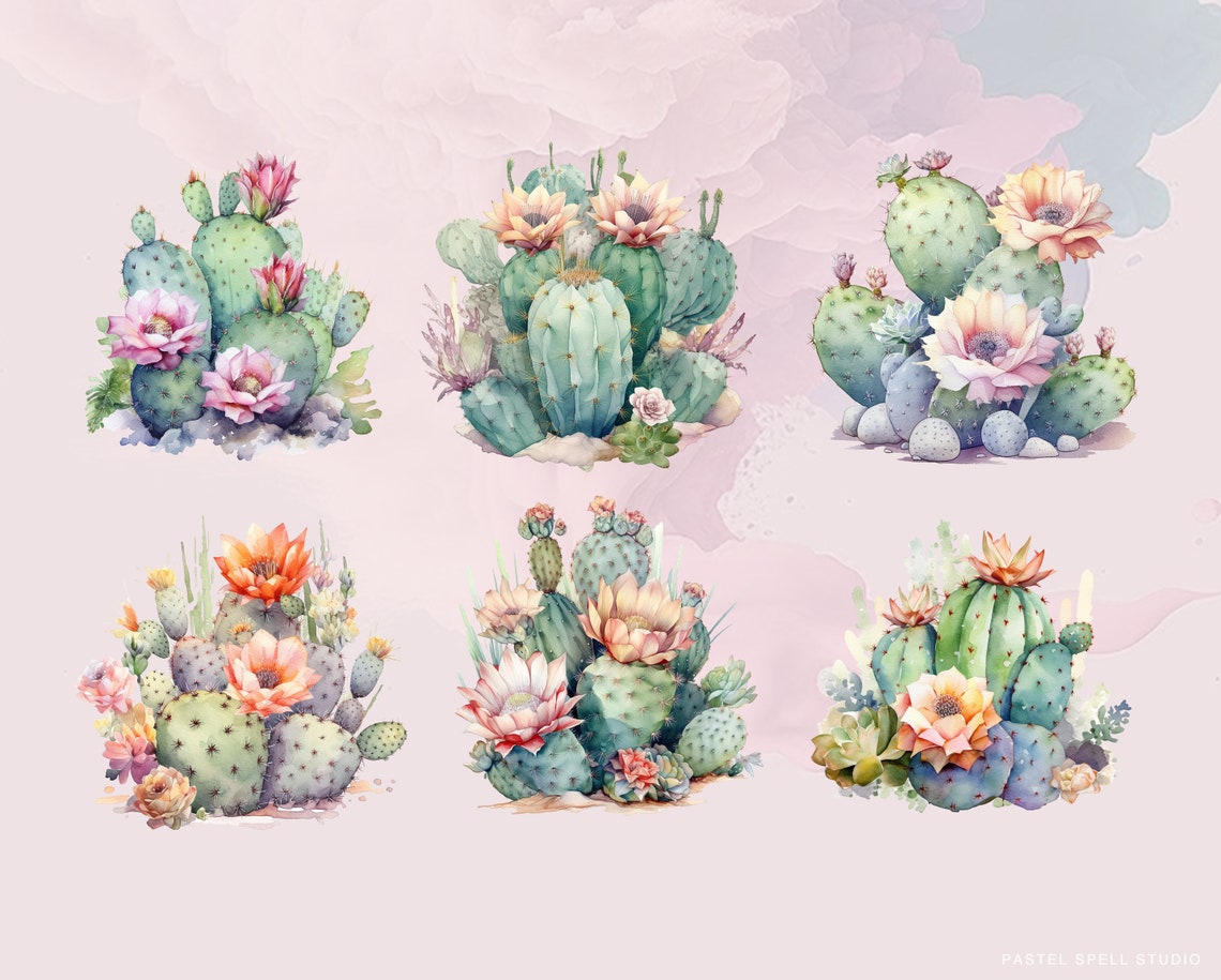 Cactus Clipart Succulent Png Cute Watercolor Plants in Pots - Etsy