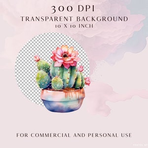 Cactus Clipart Succulent Png Cute Watercolor Plants in Pots - Etsy