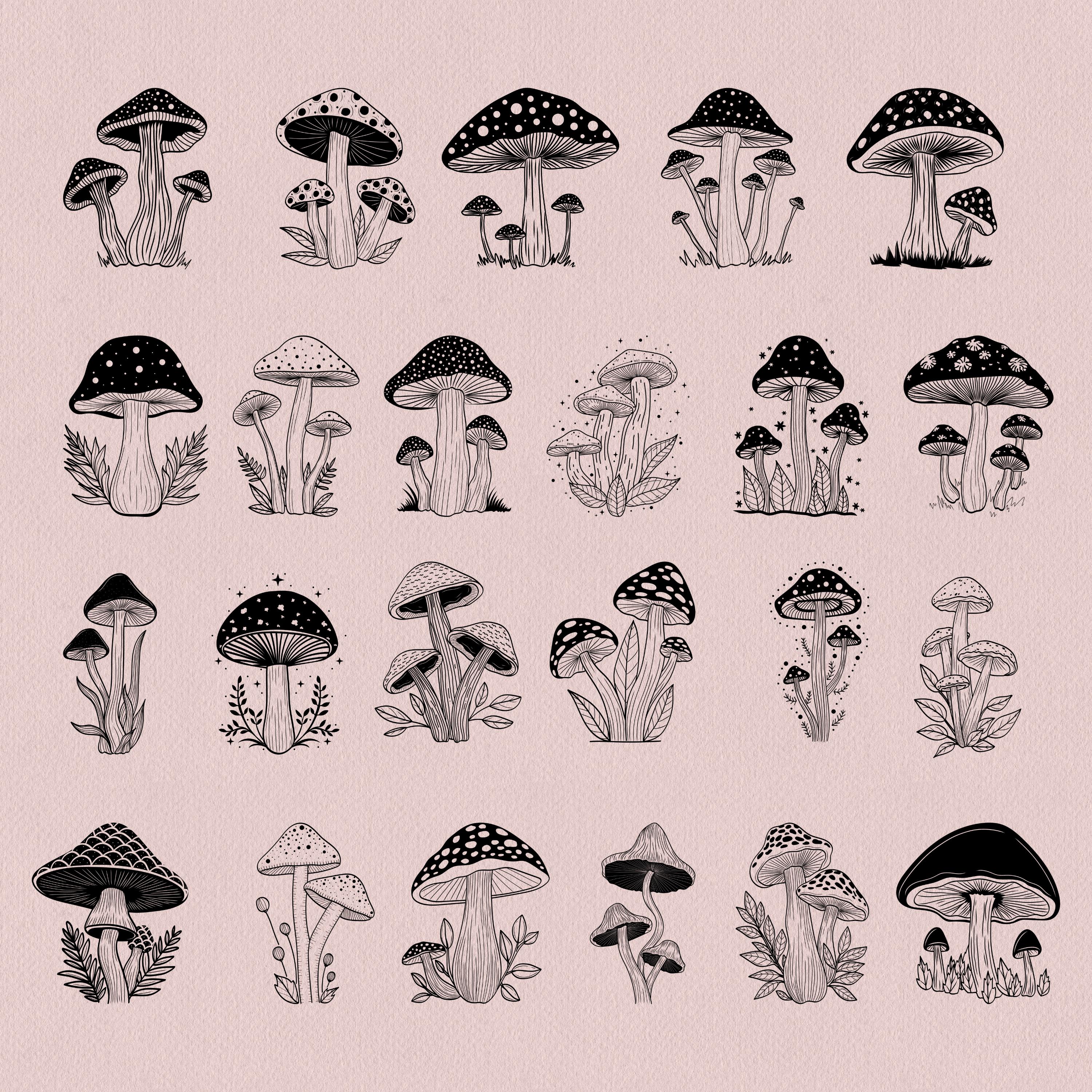Procreate Mushroom Stamps: 44 Mystical Fungi Brushes (digital Download ...