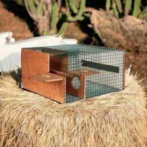Live Catch automatische mussenval, non-stop val voor kleine vogels. Eenvoudig vangen. Installatie niet nodig, vogelhuisje, vogelhuisje, tuinbescherm huisdier