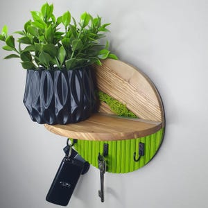 Botanische sleutelhouder, groene kleur sleutelhouder sleutelrek, muursleutelhouder, sleutelorganizer, olijfhouten levend Noors mos sleutelhouder