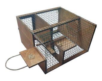 Piège à moineaux automatique : type à ascenseur, cage à oiseaux vivants, construction en bois et en métal