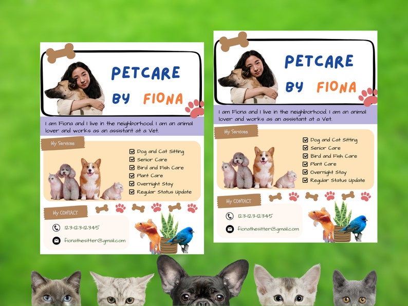 DIY Pet Sitting Services Flyer Small Business Pet Care Flyer