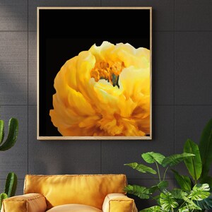Peony, Flower, Poster, Printables, Wall Art, Home Decor, Digital