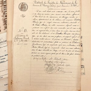 May include: A close-up of a handwritten document in French, dated 1866, with a seal of the city of Nievre. The document is titled "Extrait du Registre des Naissances de la Commune de Marzy (Ni&egrave;vre), pour l'ann&eacute;e 1866." The document records the birth of a child named Delance Vincent, born on July 2, 1866.