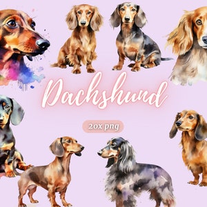 Watercolor Dachshunds | PNG | Cliparts | Digital Images for Download available for commercial and personal use