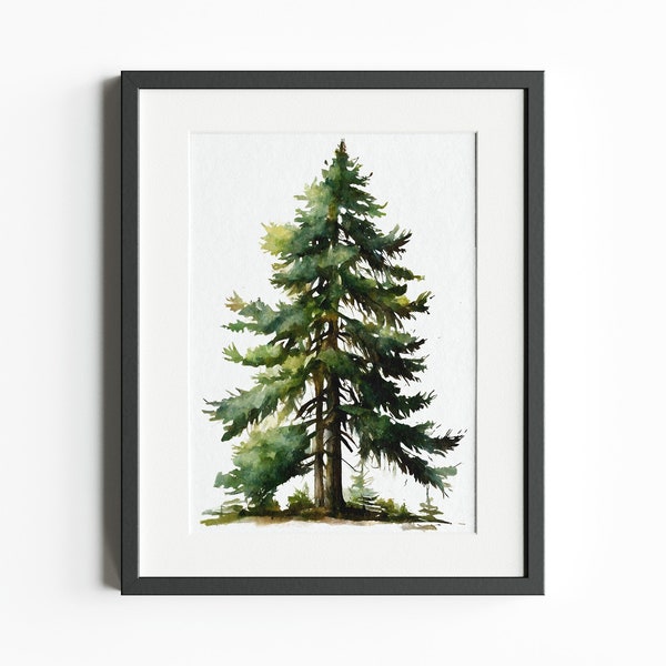 Norwegian Spruce Tree, watercolor. digital.