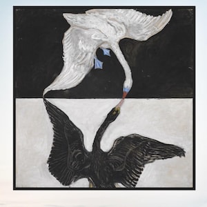 Peut inclure: Une peinture carrée représentant un cygne blanc sur fond noir au-dessus d'un cygne noir sur fond blanc. Les deux oiseaux sont positionnés verticalement, leurs becs se touchant au centre, créant un effet de reflet symétrique.