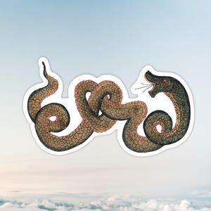 May include: A sticker with a watercolour illustration of two snakes intertwined. The snakes are mainly brown with a scale pattern, with pink and red accents. One snake has an open mouth with a red eye, set against a blue and white gradient background.