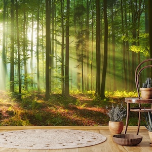 Woodland Wallpaper with God Beams, Peel and Stick | Forrest Wall Mural | Art Deco Wallpaper | Botonical Wall Mural
