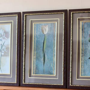 Originale svedese di metà secolo "Trio di stampe floreali" – Vintage e incorniciato, 34 x 54,5 cm / 13,4 x 21,5 pollici