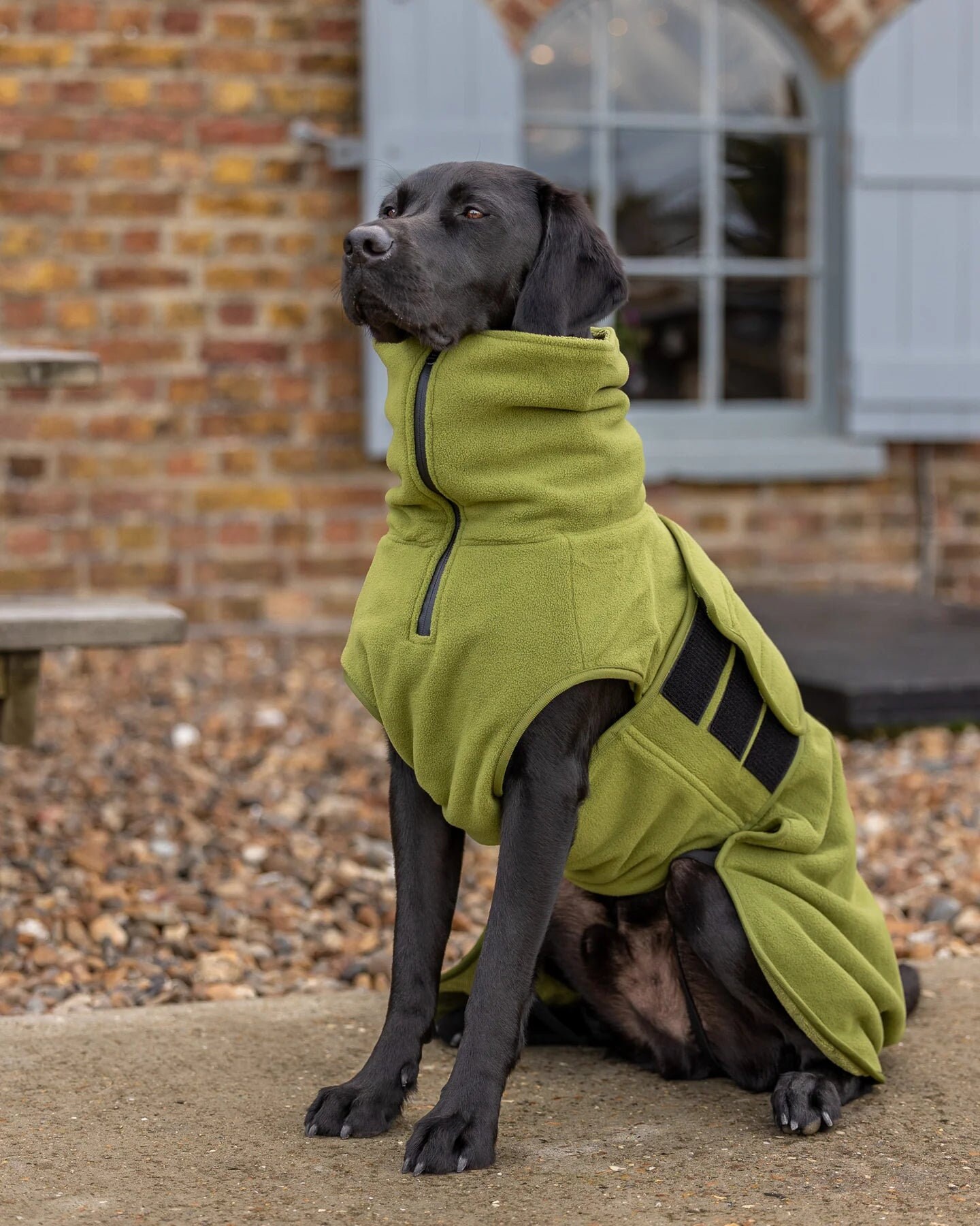 Dog towel jacket top
