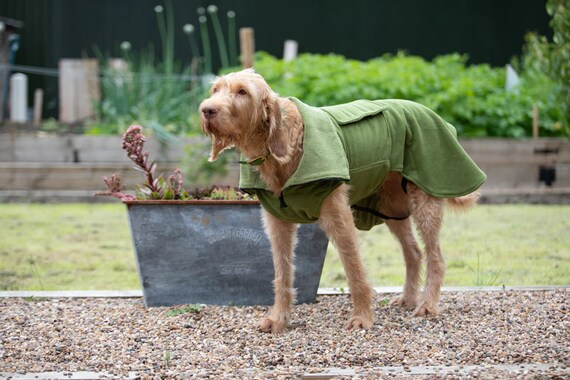 Collared creatures sale drying coat
