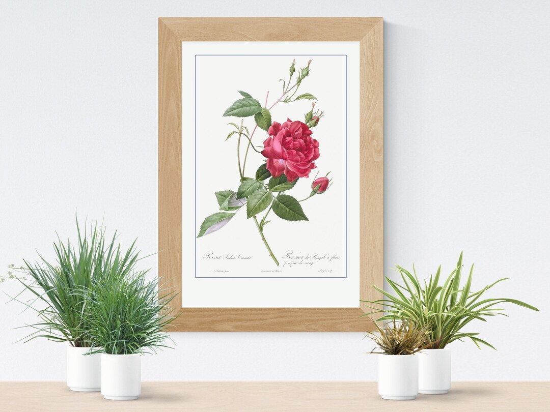 Digital Art Download Flowers, Instant Download JPEG, Red Roses Vintage ...