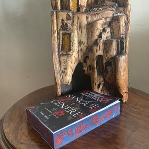 Può includere: Un libro tascabile blu e rosso intitolato "Sangue e Cenere" di Jennifer L. Armentrout. Il libro fa parte della serie "From Blood and Ash" ed è pubblicato da HarperCollins.
