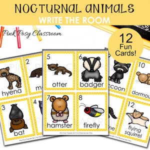 Nachtdieren Woordenschat Kaarten, Nachtdieren Afdrukbaar, Geletterdheidscentrum, Schrijfactiviteit, Flash Cards for Kids, Schrijf de kamer