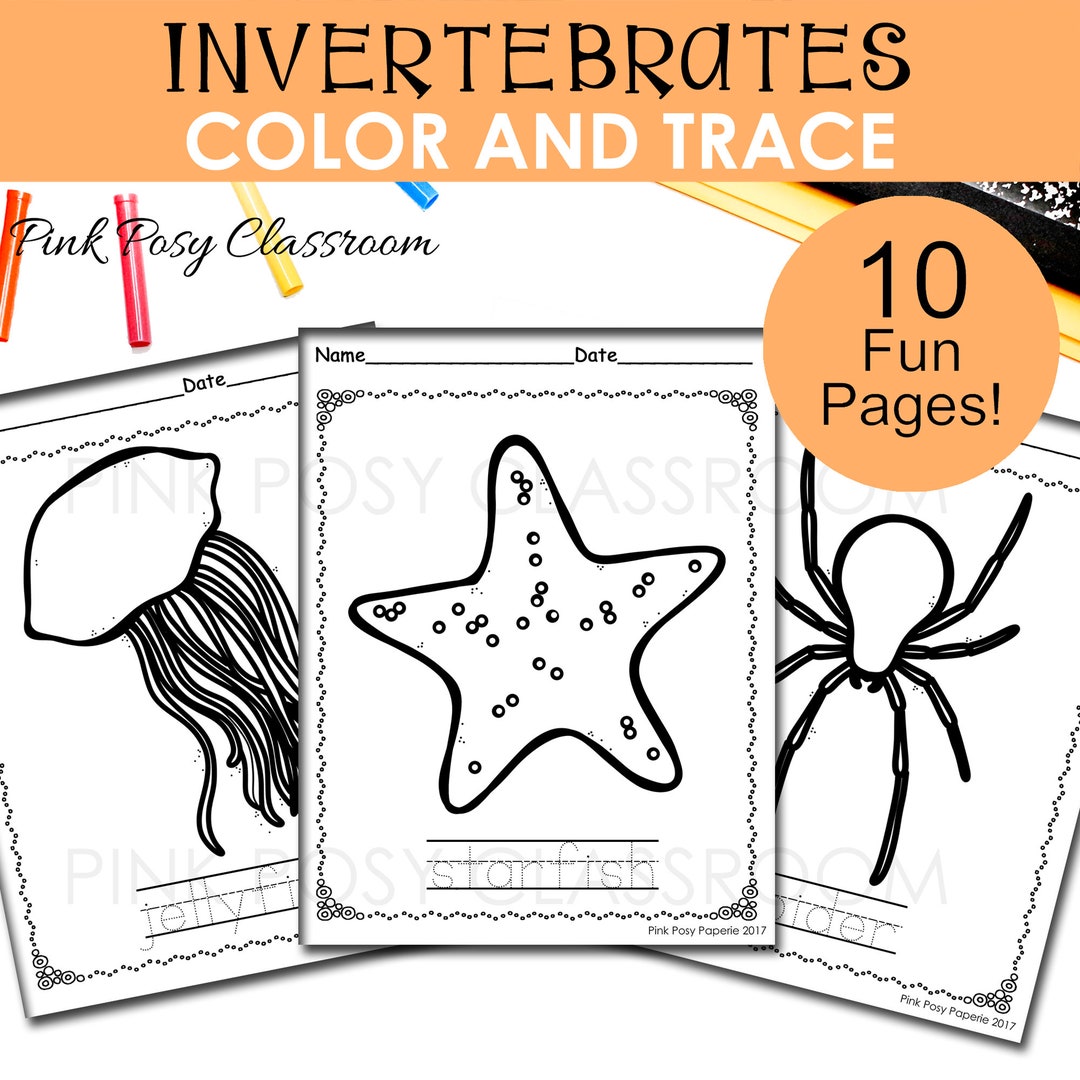 Invertebrates Coloring Pages Color and Trace the Letters - Etsy