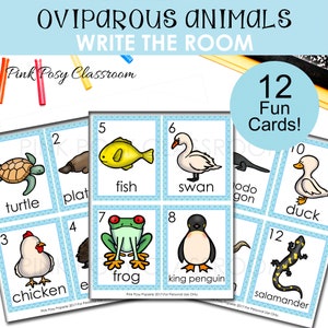 Oviparous Animals Vocabulary Cards, Oviparous Printable, Literacy Center, Writing Activity, Flash Cards, Write the Room, Activity Cards