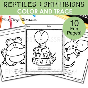 Rettili e Anfibi Disegni da colorare, Colora e traccia la parola, Anfibi Attività per bambini, Disegni da colorare per bambini, Download istantaneo