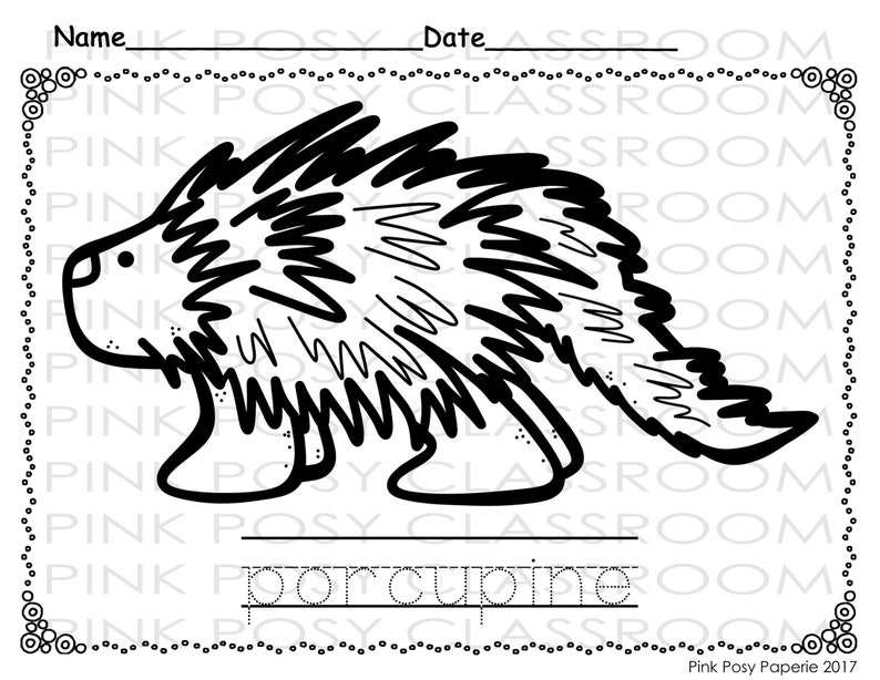10 Nocturnal Animal Coloring Pages to Unleash Your Inner Artist