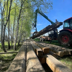 May include: A red tractor with a green hydraulic crane arm is lifting a long, weathered brown wooden beam. Several other large, rectangular timber beams are stacked on the grassy ground near a row of tall, slender birch trees under a blue sky.