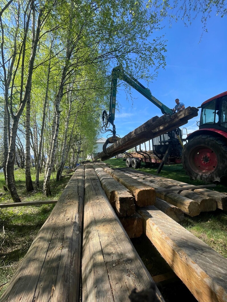 May include: A red tractor with a green hydraulic crane arm is lifting a long, weathered brown wooden beam. Several other large, rectangular timber beams are stacked on the grassy ground near a row of tall, slender birch trees under a blue sky.