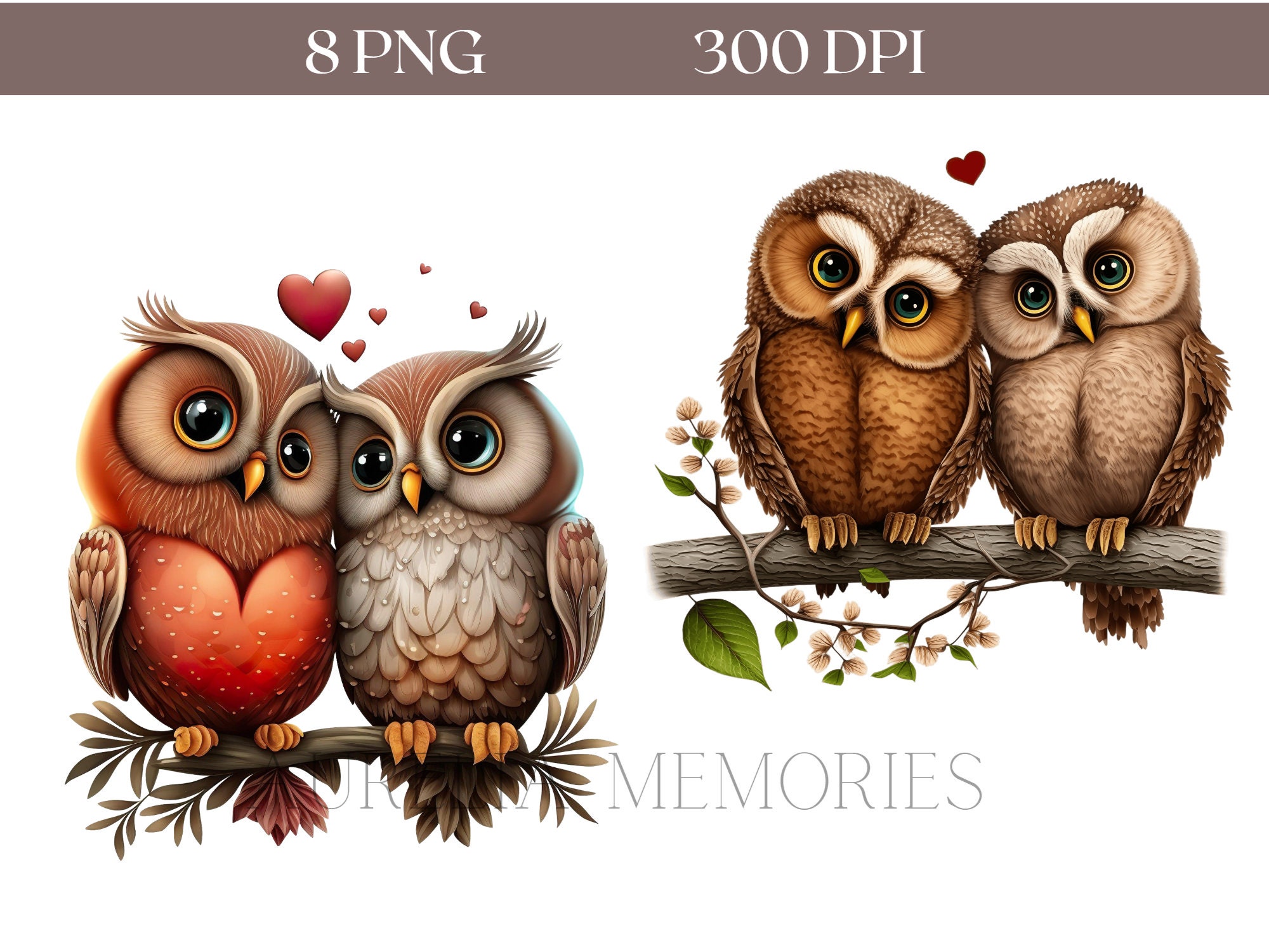 Süße Eulen Clipart 8 hochwertige PNGDateien Liebende Eulen Etsy.de