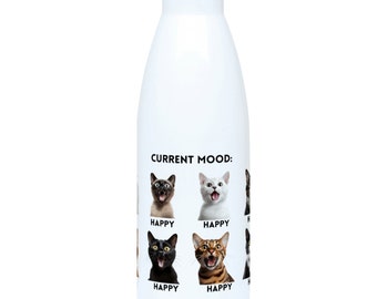 Funny Cat Current Mood 500ml Water Bottle, perfect gift for runner, gym fanatic or container for hot or cold drinks