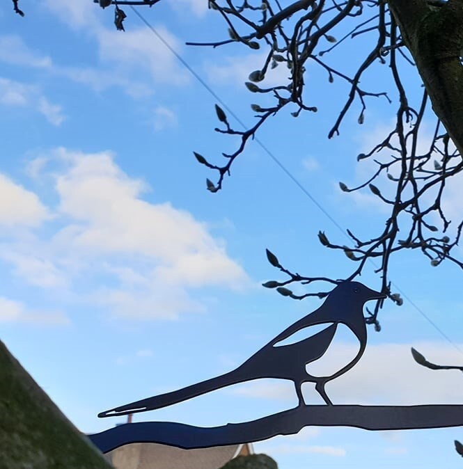 Macpie Sign Magpie House Sign