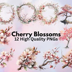 Cherry Blossom Watercolor Clipart Bundle, Pink Spring Flower, Summer Clipart,  Wedding Clipart, Watercolor PNG, Wedding Card, Sakura Clipart